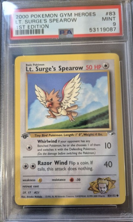 spearow1.jpg
